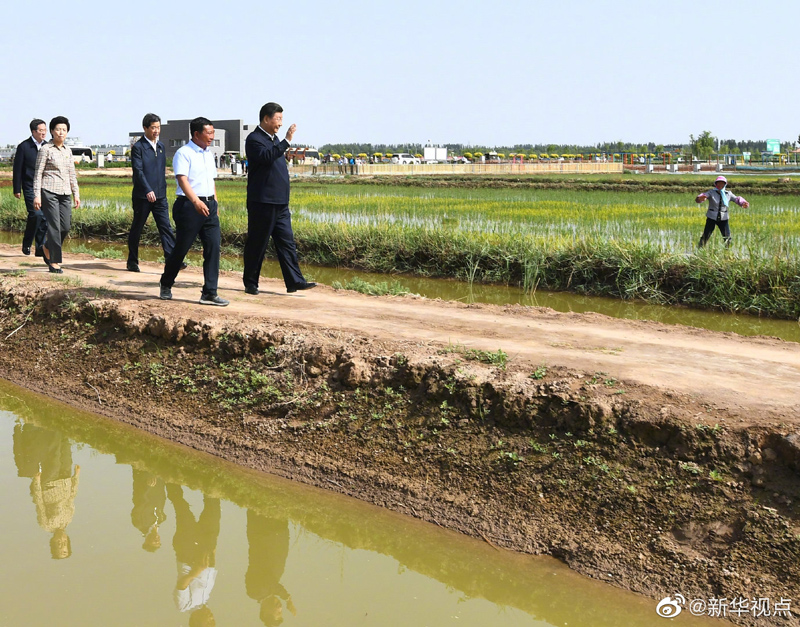習近平在銀川考察調研02.jpg